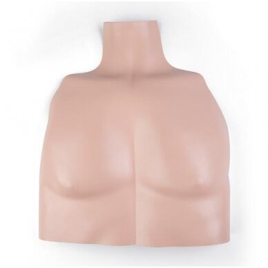 Torso oda (pilvo siena), šviesi oda Torso oda (pilvo siena), šviesi oda