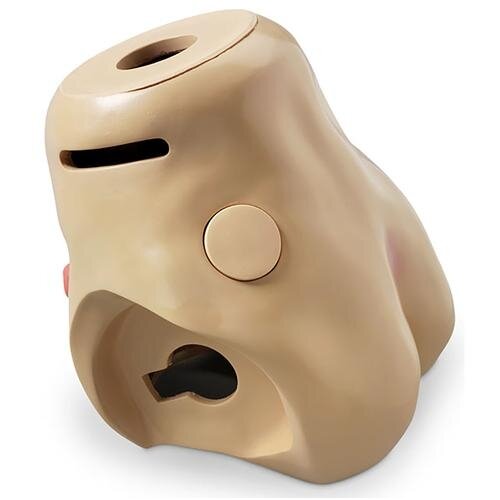 Torso apatinė dalis pacientų priežiūros manekenams KERi™ ir GERi™