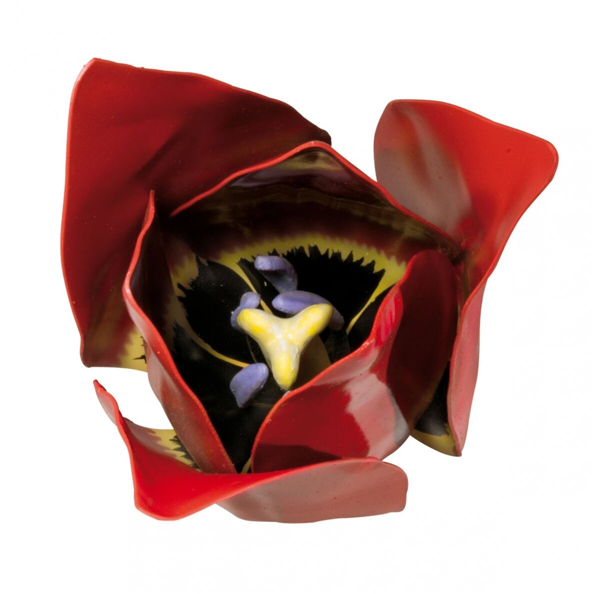 Tulpės žiedo (Tulipa gesneriana) modelis 1 Tulpės žiedo (Tulipa gesneriana) modelis 1