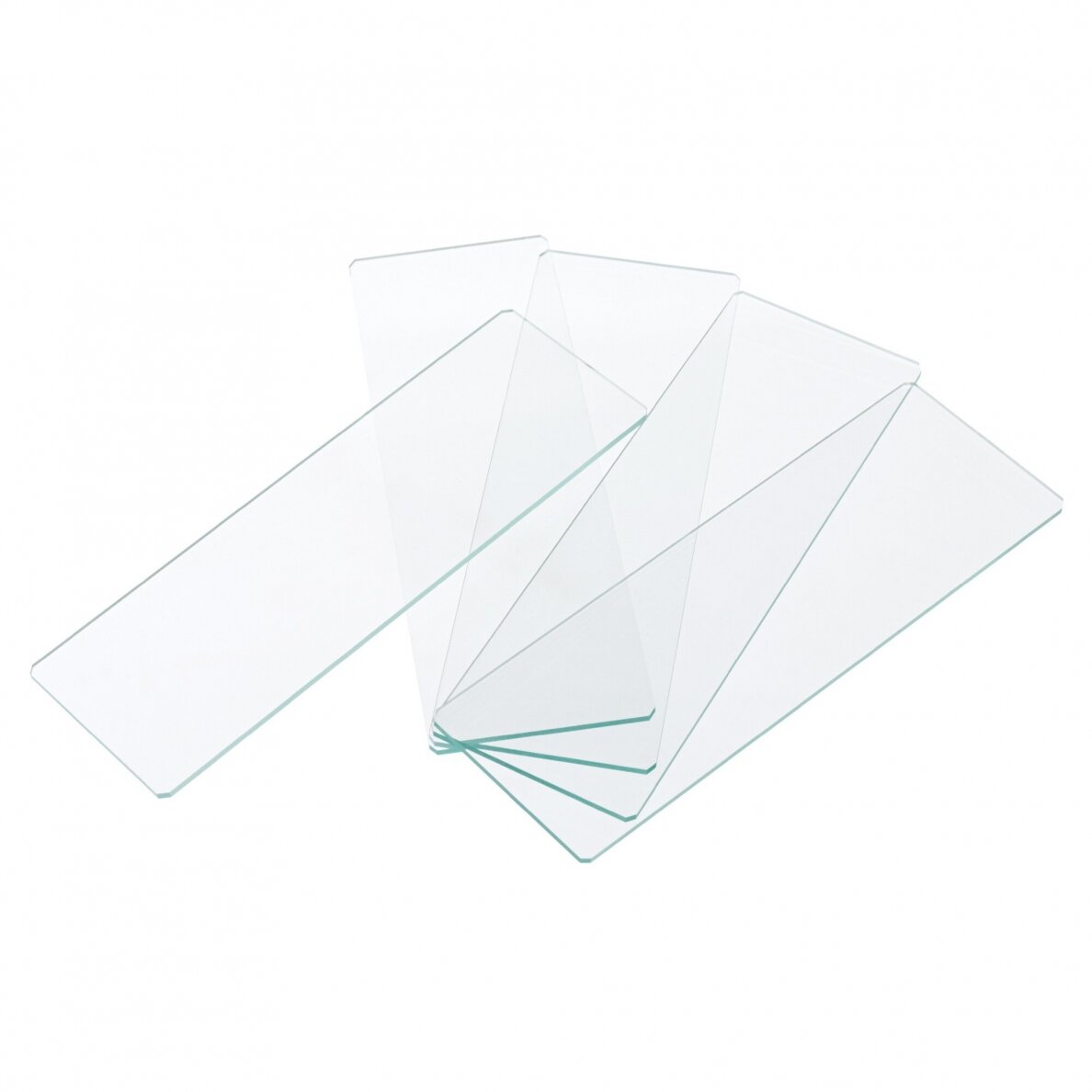 Tuščios skaidrės Levenhuk G50, 50 pcs 3