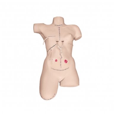 Viso kūno bintavimo simuliatorius su stoma 1 Viso kūno bintavimo simuliatorius su stoma 1