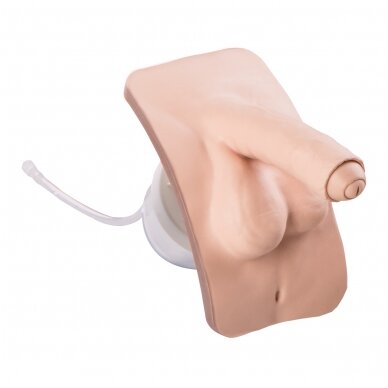 Vyro lytinių organų įdėklas, skirtas P93 PRO/BASIC 1 Vyro lytinių organų įdėklas, skirtas P93 PRO/BASIC 1