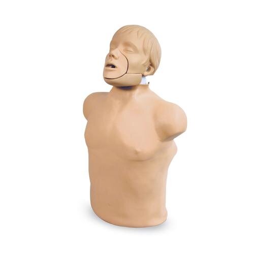Žandikaulio modelis gaivinimo mokymui